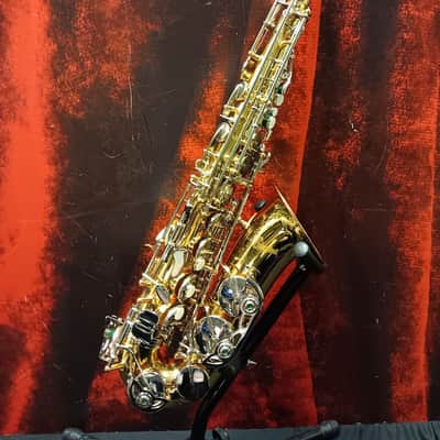 Giardinelli GAS-300 Alto Saxophone (White Plains, NY) image 1