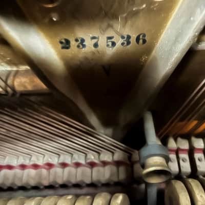 Steinway & Sons Upright – Model V – 50" – Amazing Sound image 4
