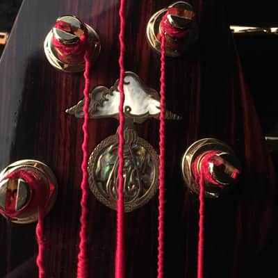 Alembic Exploiter Custom Coco Bolo 5-string bass image 7