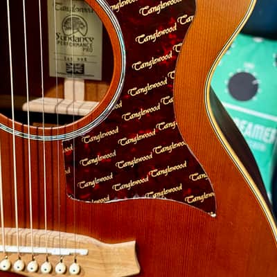 Tanglewood X45 Sundance Performance Pro Solid Cedar/Mahogany Super Folk Cutaway with Electronics - X45 Sundance Performance Pro Solid Cedar/Mahogany Super Folk Cutaway with Electronics ORIGINAL CASE INCL. image 5