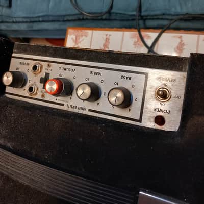 Polytone Mini Brute image 2