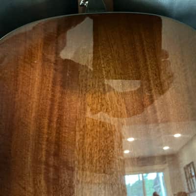 Taylor 517e Grand Pacific 2024 - Torrefied spruce top, Urban bark sides and back with shaded edge burst image 9