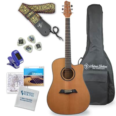 Antonio Giuliani DN-2 Acoustic Guitar image 1