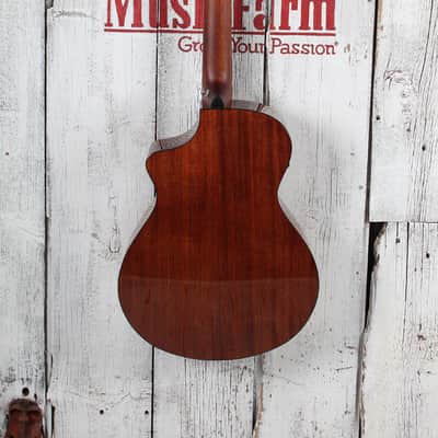 Breedlove ECO Discovery S Concert Nylon CE Acoustic Electric Nylon String Guitar image 8