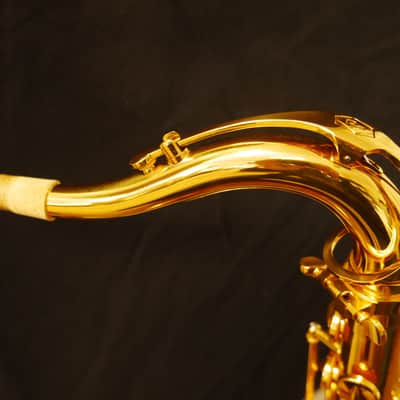 Tenor Saxophone Neck from Peter Ponzol image 3