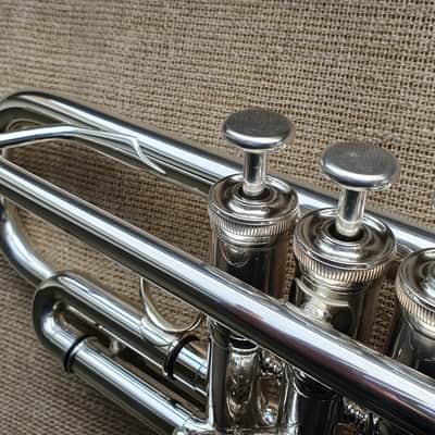 D. Calicchio DT-S1s/3M Dave TRIGG Model | Gamonbrass trumpet image 9