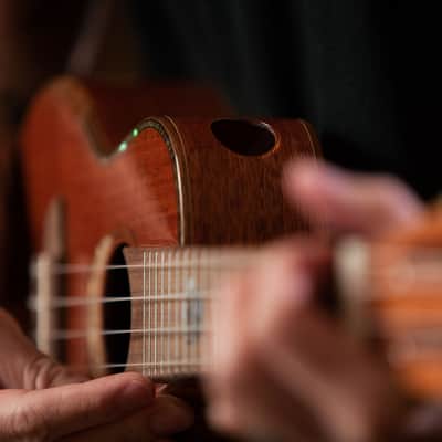 Ortega ECLIPSE-CC4 Custom Built Series Solid Mahogany Top Okoume Neck 4-String Concert Ukulele w/Gig Bag image 13