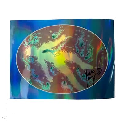 Walrus Audio - Qi Etherealizer Yvette Young Signature - 2025 Limited BLACKED OUT Exclusive w/ Autographed Sticker image 8