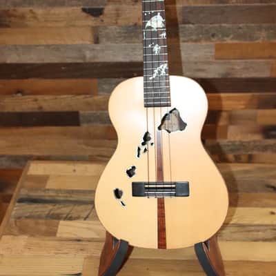 Bruce Wei TENOR UKULELE 2010-2020 - Polished Satin image 1