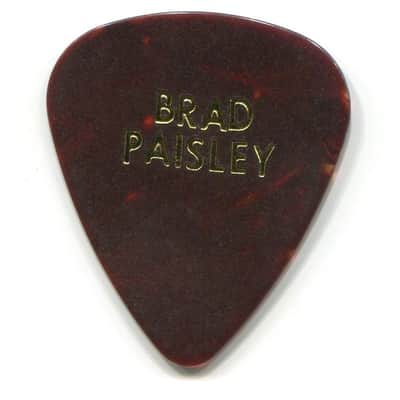 Valley Arts Custom Pro Telecaster (Brad Paisley signed Time Well Wasted Tour model signed )2005 1of3 made image 8