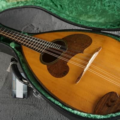 Suzuki MD-4 Bowl Back Mandolin Japan w/ Hard Case image 24