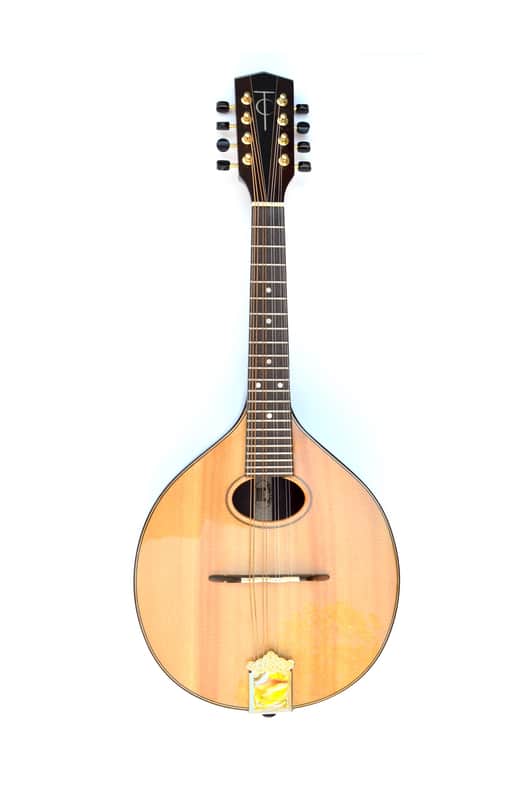 Early Model Trinity College TM-450 Celtic Mandolin image 1