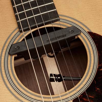 Rare Earth Blend PRO-REP-103 Fishman image 4