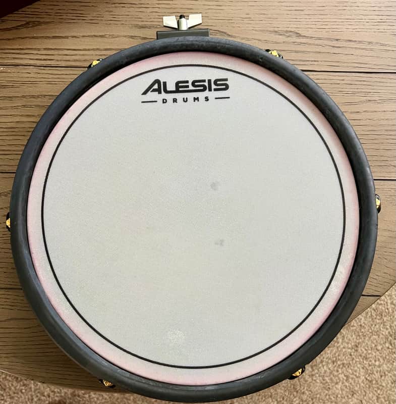 Alesis Mesh Pad 12" Dual-Zone Electronic Drum Pad