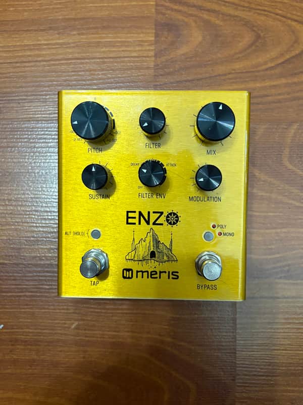 Meris Enzo 2018 - Gold image 1