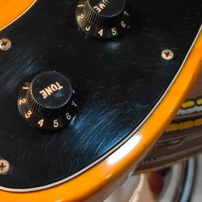 Fender Telecaster Thinline 1978 Natural image 23
