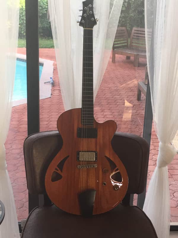 Artinger semi hollow arch top 2010 image 1