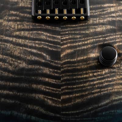 Paul Reed Smith Mark Holcomb Signature Holcomb Wraparound Blue Burst image 6