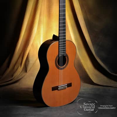 Kenny Hill Player Classical Guitar 640mm with PORTS – Cedar image 1