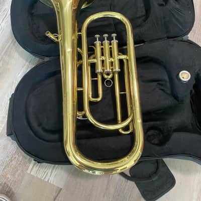 (Mendini) cecilio baritone horn (euphonium) with case and mouthpiece image 5