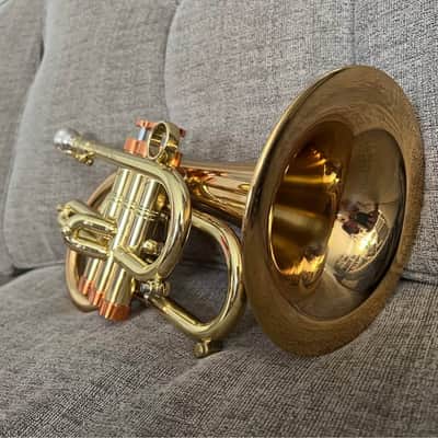 Carol Brass Phat Puppy Pocket Flugelhorn Bb Trumpet by Taylor Brass image 4