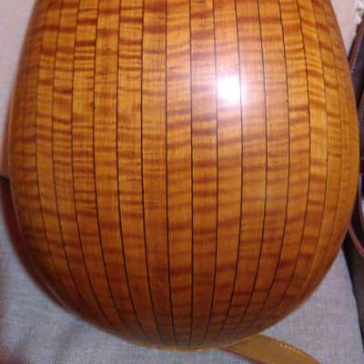 Liuto cantabile (mandocello 5 courses) image 3