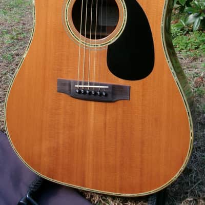 1979 Yairi YW800 B. Rosewood Jacaranda Japan Vintage - Natural+Vintage Martin Replica Hard Case by Tokai image 2