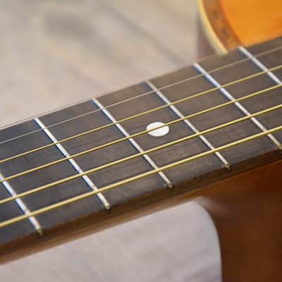 Regal Fancy Parlor Guitar 0 Size 1900s Natural image 18