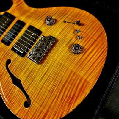 PRS Special 22 Semi-Hollow Private Stock image 9