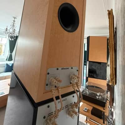 Dynaudio Evidence Master.  Awesome SOTA Flagship model image 10