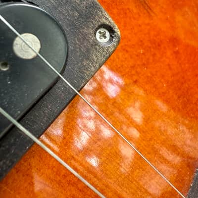 Victor Baker 14” 7 String 2012 - Nitrocelulose Gloss image 13