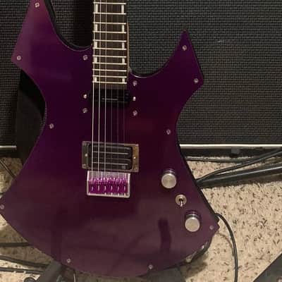 Custom R L James Guitar Custom Animal 2026 - Custom image 7