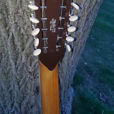 Immagine Steelbelly #135 Hot Rod Steel Custom 12-string Resonator - 16
