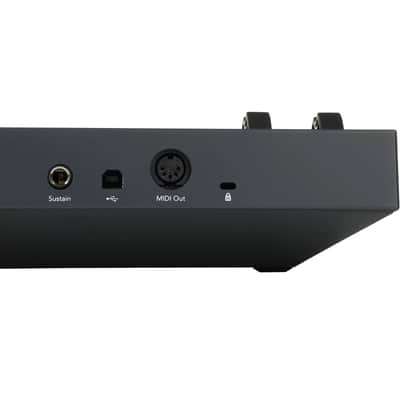 Novation FLkey 37 Keyboard Controller for FL Studio image 5