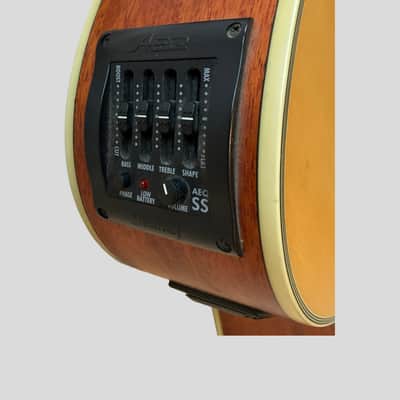 Ibanez 5-String Acoustic/Electric Bass AEB305-LG-OP-01 Made In Korea image 7
