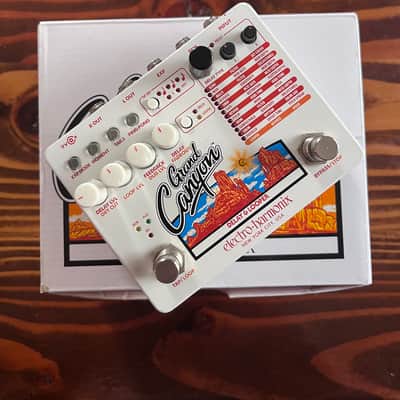 Electro-Harmonix Grand Canyon Delay and Looper image 1