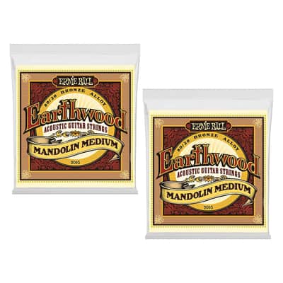 Ernie Ball Mandolin Strings Earthwood 2065 Medium Loop End 2 Pack image 1