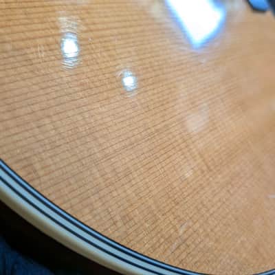 Martin D-28 1948 - Natural Double Guard image 21