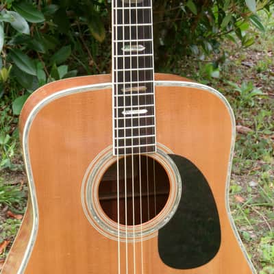 1975 Yairi YW-600 Dreadnought Guitar New Jacaranda Natural+Vintage Flight Case image 4
