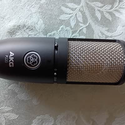 AKG P220 Large Diaphragm Cardioid Condenser Microphone 2010s - Black image 2