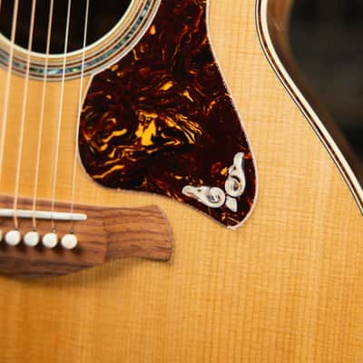 Taylor Gold Label 814e Super Auditorium Acoustic/Electric Guitar - Natural Top with Hardshell Case image 10