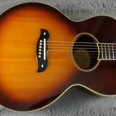 Aria Elecord FE-60 w/ Built-In Electronics w/ Hard Case image 6