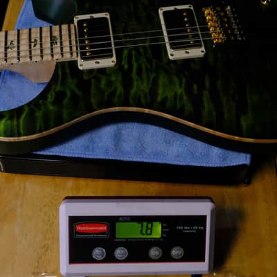 PRS Wood Library DGT Electric Guitar with Bird Inlays - Jade image 17