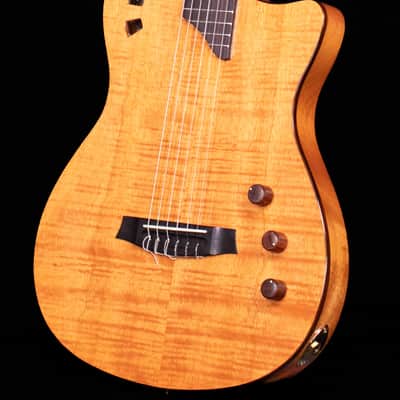 Cordoba Fusion Stage Guitar, Natural Amber with Bag image 2