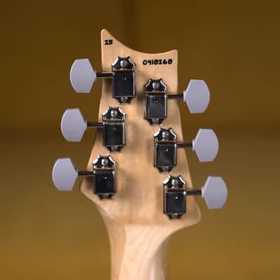 New PRS Silver Sky Rosewood - Faded Black Tee image 6