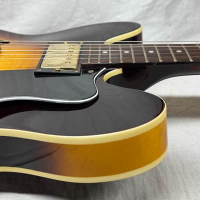 Epiphone Factory 2nd Limited Edition Dot Deluxe Semi-Hollowbody Guitar with Case image 17