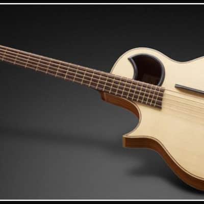 Warwick ALIEN 5 Natural Satin Acoustic Electric Bass, LEFT-HANDED, Fretted, Brand New, Free Shipping image 1