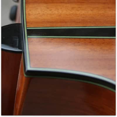 Taylor TAYLOR "Custom GS 12 Build to order LIMITED EDITION" (SECOND HAND) image 15
