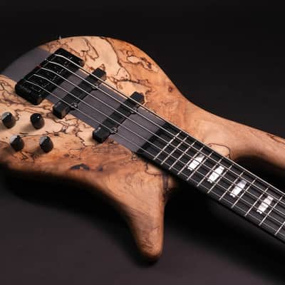 Spector CST limited Edition 2026 - Spalted Maple image 5