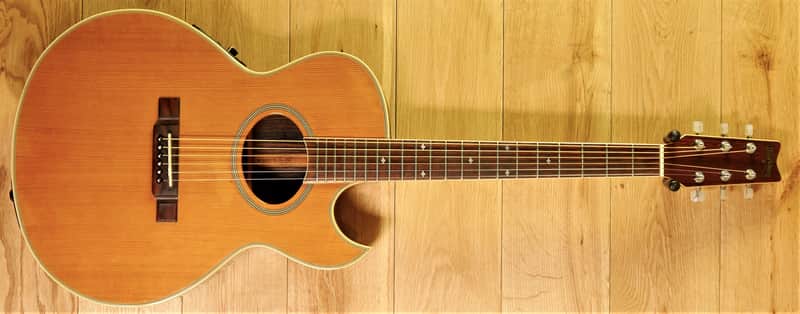 Washburn EA44 ~ Secondhand | Reverb